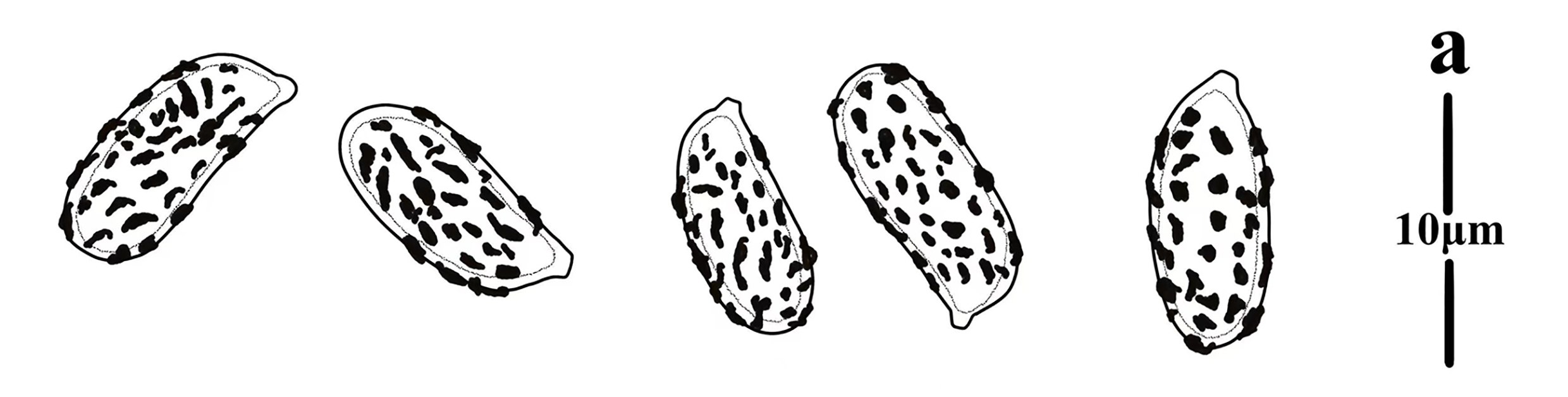 Figure 127